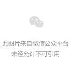 嘉兴看见阳光就忧郁的植物