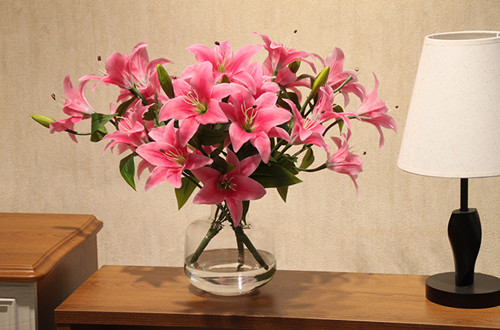 嘉兴怎样延长百合花的花期