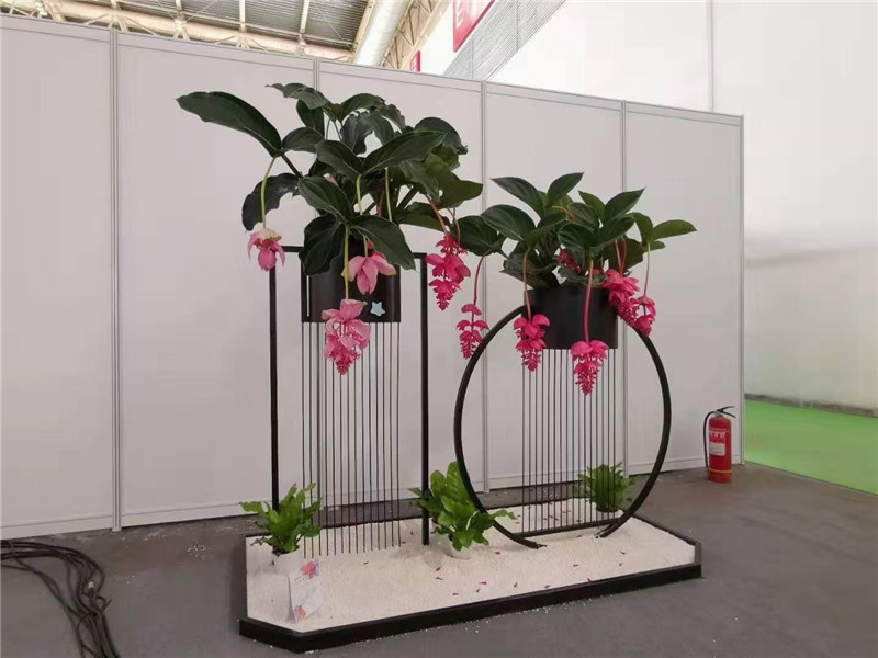 嘉兴花架组合