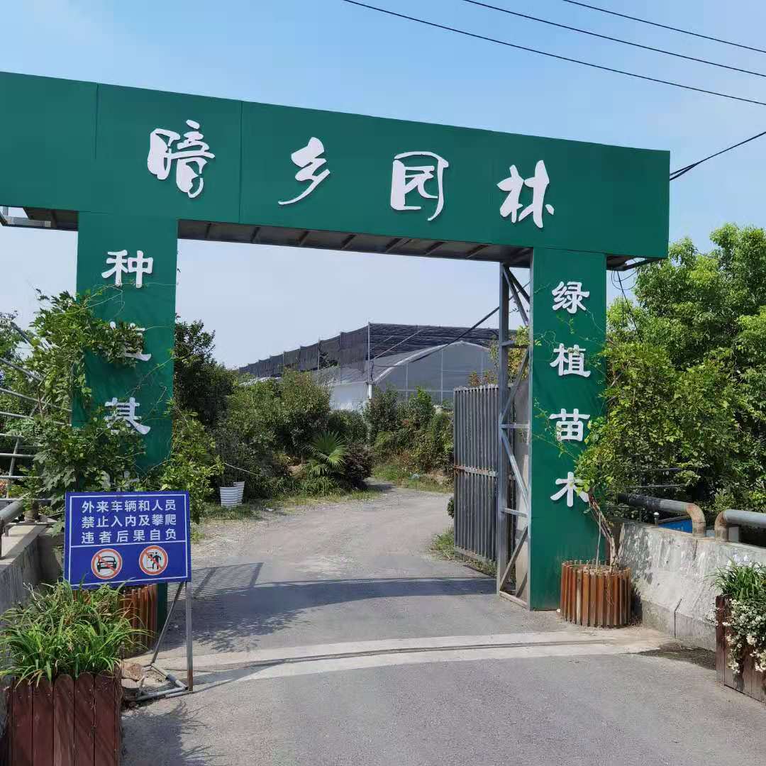 嘉兴暗乡园林怎么样-绿植租赁